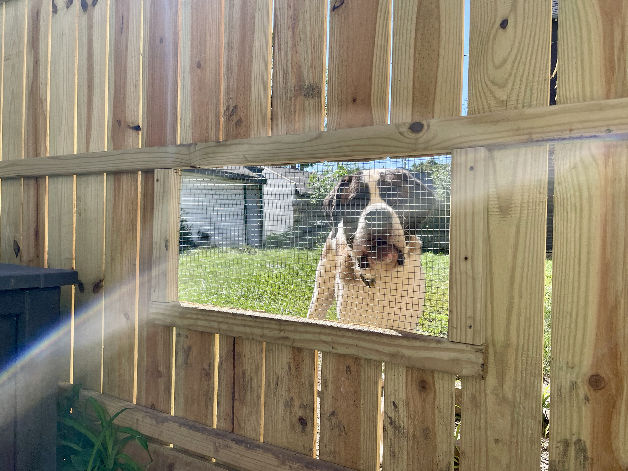 Fence Bros. Super wooden fences in Cedar or Pine for Milwaukee and Wisconsin